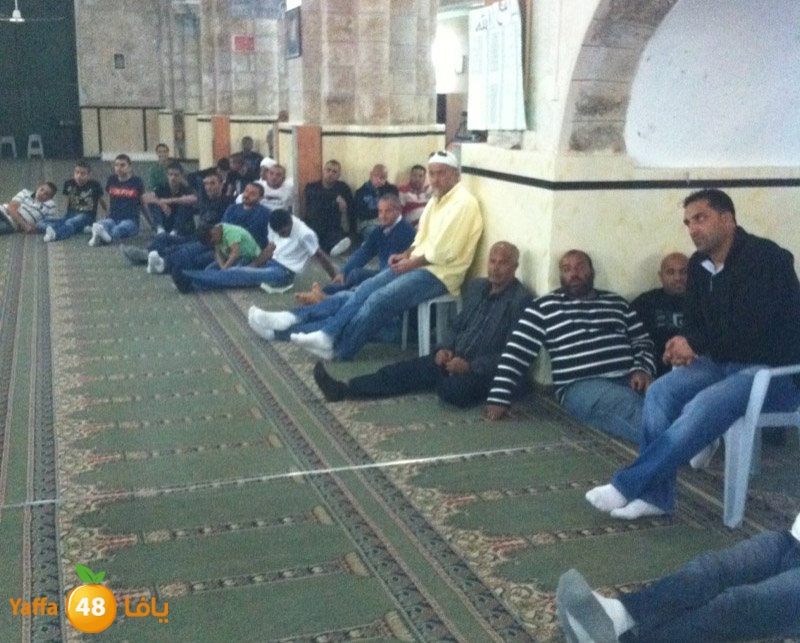 3omraludramla315 (1).jpg